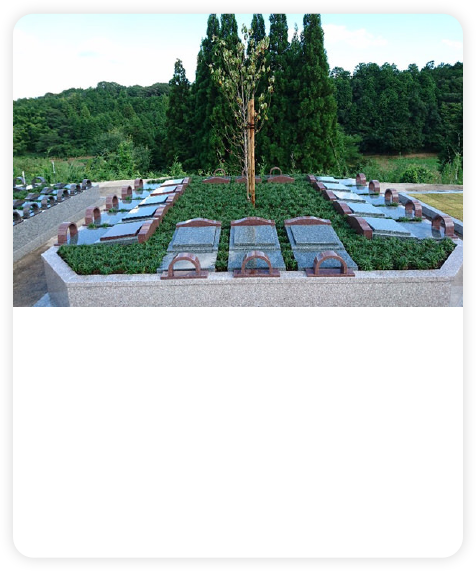 樹⽊葬墓苑グレイヴパーク